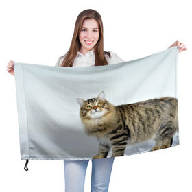 Флаг 3D с принтом Кот , 100% полиэстер | плотность ткани — 95 г/м2, размер — 67 х 109 см. Принт наносится с одной стороны | домашняя | животное | кот | котэ | кошка