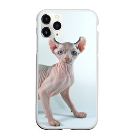 Чехол для iPhone 11 Pro матовый с принтом Сфинкс , Силикон |  | домашняя | животное | кот | котэ | кошка | сфинкс