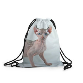Рюкзак-мешок 3D с принтом Сфинкс , 100% полиэстер | плотность ткани — 200 г/м2, размер — 35 х 45 см; лямки — толстые шнурки, застежка на шнуровке, без карманов и подкладки | домашняя | животное | кот | котэ | кошка | сфинкс