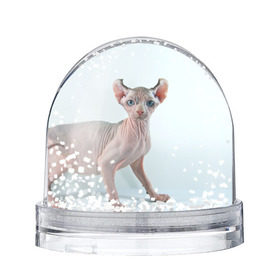 Снежный шар с принтом Сфинкс , Пластик | Изображение внутри шара печатается на глянцевой фотобумаге с двух сторон | Тематика изображения на принте: домашняя | животное | кот | котэ | кошка | сфинкс