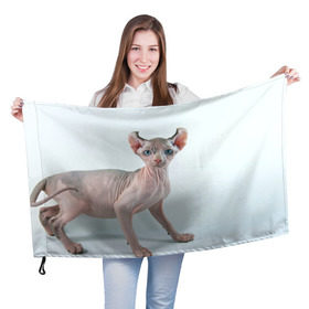 Флаг 3D с принтом Сфинкс , 100% полиэстер | плотность ткани — 95 г/м2, размер — 67 х 109 см. Принт наносится с одной стороны | домашняя | животное | кот | котэ | кошка | сфинкс