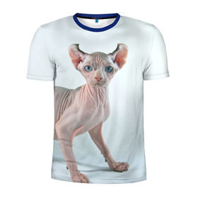 Мужская футболка 3D спортивная с принтом Сфинкс , 100% полиэстер с улучшенными характеристиками | приталенный силуэт, круглая горловина, широкие плечи, сужается к линии бедра | домашняя | животное | кот | котэ | кошка | сфинкс