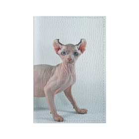 Обложка для паспорта матовая кожа с принтом Сфинкс , натуральная матовая кожа | размер 19,3 х 13,7 см; прозрачные пластиковые крепления | Тематика изображения на принте: домашняя | животное | кот | котэ | кошка | сфинкс