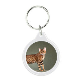 Брелок круглый с принтом Бенгальский кот , пластик и полированная сталь | круглая форма, металлическое крепление в виде кольца | Тематика изображения на принте: бенгальский | домашняя | животное | кот | котэ | кошка