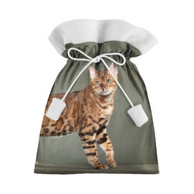 Подарочный 3D мешок с принтом Бенгальский кот , 100% полиэстер | Размер: 29*39 см | Тематика изображения на принте: бенгальский | домашняя | животное | кот | котэ | кошка