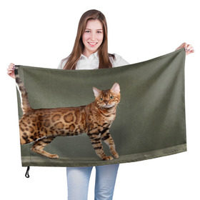 Флаг 3D с принтом Бенгальский кот , 100% полиэстер | плотность ткани — 95 г/м2, размер — 67 х 109 см. Принт наносится с одной стороны | бенгальский | домашняя | животное | кот | котэ | кошка
