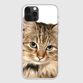Чехол для iPhone 12 Pro Max с принтом Кот , Силикон |  | домашняя | животное | кот | котэ | кошка