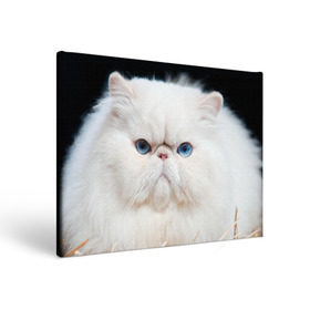 Холст прямоугольный с принтом Персидский кот , 100% ПВХ |  | Тематика изображения на принте: домашняя | животное | кот | котэ | кошка | персидский