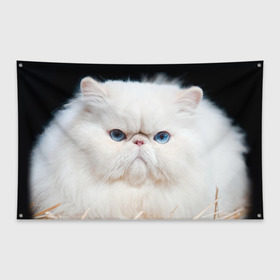 Флаг-баннер с принтом Персидский кот , 100% полиэстер | размер 67 х 109 см, плотность ткани — 95 г/м2; по краям флага есть четыре люверса для крепления | домашняя | животное | кот | котэ | кошка | персидский