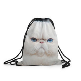 Рюкзак-мешок 3D с принтом Персидский кот , 100% полиэстер | плотность ткани — 200 г/м2, размер — 35 х 45 см; лямки — толстые шнурки, застежка на шнуровке, без карманов и подкладки | домашняя | животное | кот | котэ | кошка | персидский