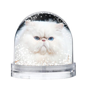 Снежный шар с принтом Персидский кот , Пластик | Изображение внутри шара печатается на глянцевой фотобумаге с двух сторон | домашняя | животное | кот | котэ | кошка | персидский