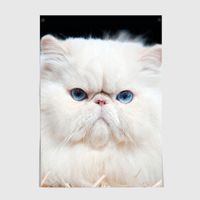 Постер с принтом Персидский кот , 100% бумага
 | бумага, плотность 150 мг. Матовая, но за счет высокого коэффициента гладкости имеет небольшой блеск и дает на свету блики, но в отличии от глянцевой бумаги не покрыта лаком | домашняя | животное | кот | котэ | кошка | персидский
