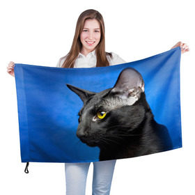 Флаг 3D с принтом Черный кот , 100% полиэстер | плотность ткани — 95 г/м2, размер — 67 х 109 см. Принт наносится с одной стороны | домашняя | животное | кот | котэ | кошка | черный