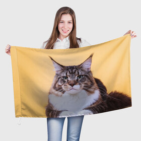 Флаг 3D с принтом Байкун , 100% полиэстер | плотность ткани — 95 г/м2, размер — 67 х 109 см. Принт наносится с одной стороны | байкун | домашняя | животное | кот | котэ | кошка