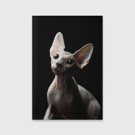 Обложка для паспорта матовая кожа с принтом Сфинкс , натуральная матовая кожа | размер 19,3 х 13,7 см; прозрачные пластиковые крепления | Тематика изображения на принте: домашняя | животное | кот | котэ | кошка | сфинкс