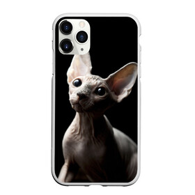 Чехол для iPhone 11 Pro матовый с принтом Сфинкс , Силикон |  | Тематика изображения на принте: домашняя | животное | кот | котэ | кошка | сфинкс