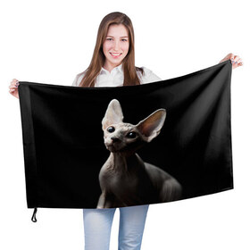 Флаг 3D с принтом Сфинкс , 100% полиэстер | плотность ткани — 95 г/м2, размер — 67 х 109 см. Принт наносится с одной стороны | домашняя | животное | кот | котэ | кошка | сфинкс