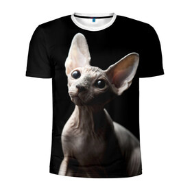 Мужская футболка 3D спортивная с принтом Сфинкс , 100% полиэстер с улучшенными характеристиками | приталенный силуэт, круглая горловина, широкие плечи, сужается к линии бедра | домашняя | животное | кот | котэ | кошка | сфинкс