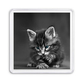 Магнит 55*55 с принтом Котенок , Пластик | Размер: 65*65 мм; Размер печати: 55*55 мм | Тематика изображения на принте: домашняя | животное | кот | котэ | кошка