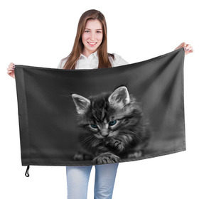Флаг 3D с принтом Котенок , 100% полиэстер | плотность ткани — 95 г/м2, размер — 67 х 109 см. Принт наносится с одной стороны | домашняя | животное | кот | котэ | кошка