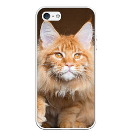 Чехол силиконовый для Телефон Apple iPhone 5/5S с принтом Кот , Силикон | Область печати: задняя сторона чехла, без боковых панелей | домашняя | животное | кот | котэ | кошка
