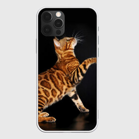 Чехол для iPhone 12 Pro Max с принтом Бенгальская кошка , Силикон |  | Тематика изображения на принте: бенгальская | домашняя | животное | кот | котэ | кошка