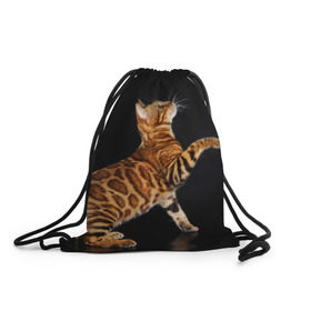 Рюкзак-мешок 3D с принтом Бенгальская кошка , 100% полиэстер | плотность ткани — 200 г/м2, размер — 35 х 45 см; лямки — толстые шнурки, застежка на шнуровке, без карманов и подкладки | бенгальская | домашняя | животное | кот | котэ | кошка