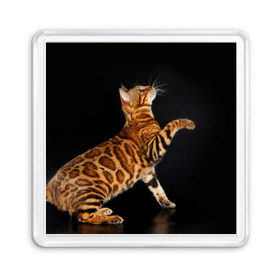 Магнит 55*55 с принтом Бенгальская кошка , Пластик | Размер: 65*65 мм; Размер печати: 55*55 мм | бенгальская | домашняя | животное | кот | котэ | кошка