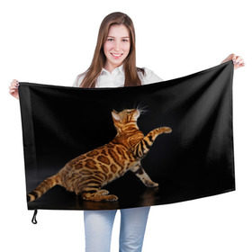 Флаг 3D с принтом Бенгальская кошка , 100% полиэстер | плотность ткани — 95 г/м2, размер — 67 х 109 см. Принт наносится с одной стороны | бенгальская | домашняя | животное | кот | котэ | кошка