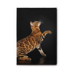 Обложка для автодокументов с принтом Бенгальская кошка , натуральная кожа |  размер 19,9*13 см; внутри 4 больших “конверта” для документов и один маленький отдел — туда идеально встанут права | Тематика изображения на принте: бенгальская | домашняя | животное | кот | котэ | кошка
