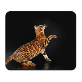 Коврик прямоугольный с принтом Бенгальская кошка , натуральный каучук | размер 230 х 185 мм; запечатка лицевой стороны | Тематика изображения на принте: бенгальская | домашняя | животное | кот | котэ | кошка