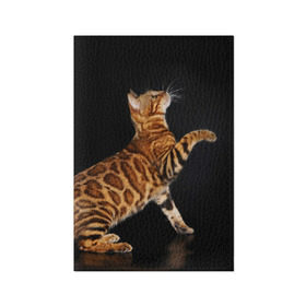 Обложка для паспорта матовая кожа с принтом Бенгальская кошка , натуральная матовая кожа | размер 19,3 х 13,7 см; прозрачные пластиковые крепления | бенгальская | домашняя | животное | кот | котэ | кошка