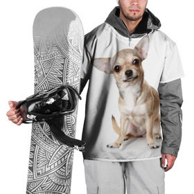 Накидка на куртку 3D с принтом Чихуахуа , 100% полиэстер |  | животное | порода | собака | чихуахуа
