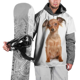 Накидка на куртку 3D с принтом Той-терьер , 100% полиэстер |  | Тематика изображения на принте: животное | порода | собака | той терьер