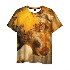 Мужская футболка 3D с принтом Австралийская овчарка , 100% полиэфир | прямой крой, круглый вырез горловины, длина до линии бедер | австралийская овчарка | клён | осень | порода | собака