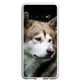 Чехол для Samsung Galaxy S10 с принтом Аляскинский маламут , Силикон | Область печати: задняя сторона чехла, без боковых панелей | Тематика изображения на принте: аляскинский маламут | животное | порода | собака