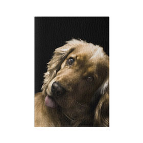 Обложка для паспорта матовая кожа с принтом Английский кокер-спаниель , натуральная матовая кожа | размер 19,3 х 13,7 см; прозрачные пластиковые крепления | английский кокер спаниель | животно | порода | собака