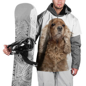 Накидка на куртку 3D с принтом Английский кокер-спаниель , 100% полиэстер |  | Тематика изображения на принте: английский кокер спаниель | порода | собака