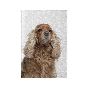 Обложка для паспорта матовая кожа с принтом Английский кокер-спаниель , натуральная матовая кожа | размер 19,3 х 13,7 см; прозрачные пластиковые крепления | Тематика изображения на принте: английский кокер спаниель | порода | собака