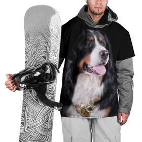 Накидка на куртку 3D с принтом Бернский зенненхунд , 100% полиэстер |  | бернский зенненхунд | животное | порода | собака