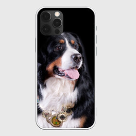 Чехол для iPhone 12 Pro Max с принтом Бернский зенненхунд , Силикон |  | бернский зенненхунд | животное | порода | собака