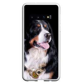 Чехол для Samsung Galaxy S10 с принтом Бернский зенненхунд , Силикон | Область печати: задняя сторона чехла, без боковых панелей | бернский зенненхунд | животное | порода | собака