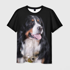 Мужская футболка 3D с принтом Бернский зенненхунд , 100% полиэфир | прямой крой, круглый вырез горловины, длина до линии бедер | Тематика изображения на принте: бернский зенненхунд | животное | порода | собака