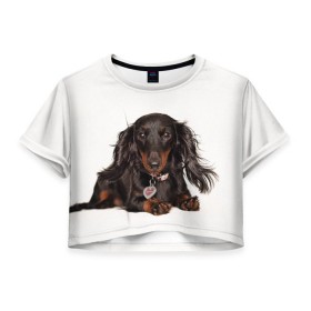 Женская футболка 3D укороченная с принтом Карликовая такса , 100% полиэстер | круглая горловина, длина футболки до линии талии, рукава с отворотами | животное | карликовая такса | порода | собака