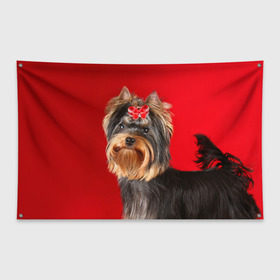Флаг-баннер с принтом Йоркширский терьер , 100% полиэстер | размер 67 х 109 см, плотность ткани — 95 г/м2; по краям флага есть четыре люверса для крепления | животное | йоркширский терьер | порода | собака