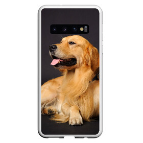 Чехол для Samsung Galaxy S10 с принтом Золотистый ретривер , Силикон | Область печати: задняя сторона чехла, без боковых панелей | Тематика изображения на принте: животное | золотистый ретривер | порода | собака