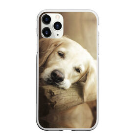 Чехол для iPhone 11 Pro Max матовый с принтом Золотистый ретривер , Силикон |  | животное | золотистый ретривер | порода | собака