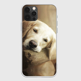 Чехол для iPhone 12 Pro Max с принтом Золотистый ретривер , Силикон |  | Тематика изображения на принте: животное | золотистый ретривер | порода | собака