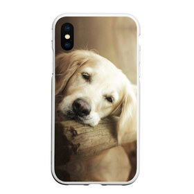 Чехол для iPhone XS Max матовый с принтом Золотистый ретривер , Силикон | Область печати: задняя сторона чехла, без боковых панелей | животное | золотистый ретривер | порода | собака