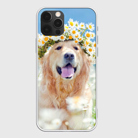 Чехол для iPhone 12 Pro Max с принтом Золотистый ретривер , Силикон |  | Тематика изображения на принте: животное | золотистый ретривер | порода | собака